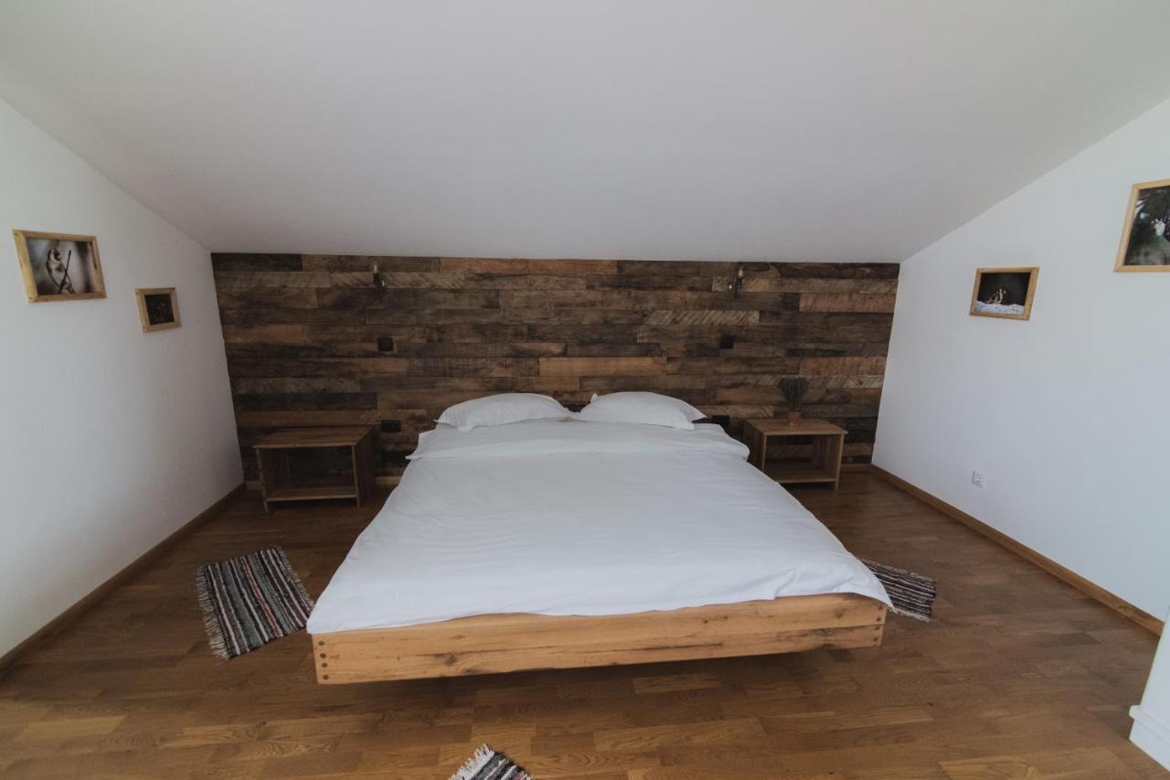 Cocosul De Munte Hotel Baia de Fier Eksteriør billede