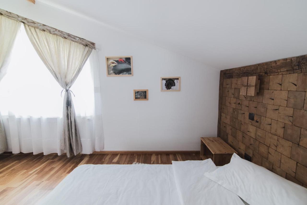 Cocosul De Munte Hotel Baia de Fier Eksteriør billede