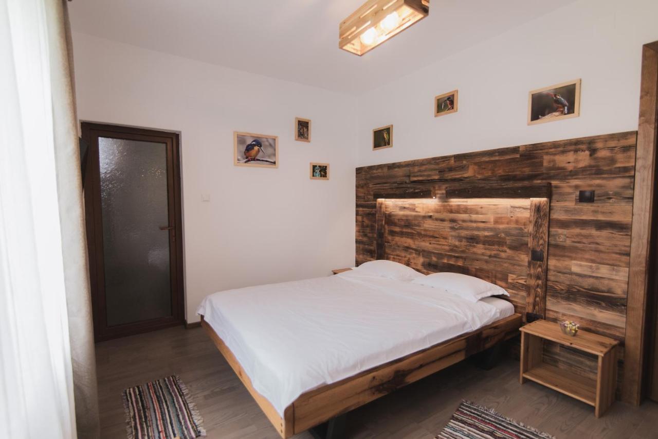 Cocosul De Munte Hotel Baia de Fier Eksteriør billede